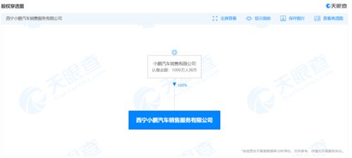 小鵬汽車新設銷售服務公司，注冊資本1000萬并涉足域名注冊服務