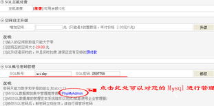 星輝互聯 深耕域名與云服務，賦能企業數字化轉型